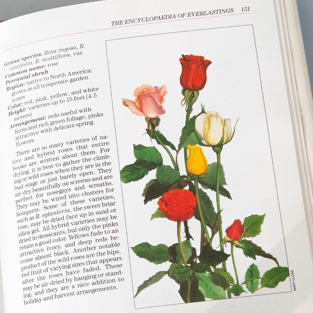 Encyclopedia of Everlastings