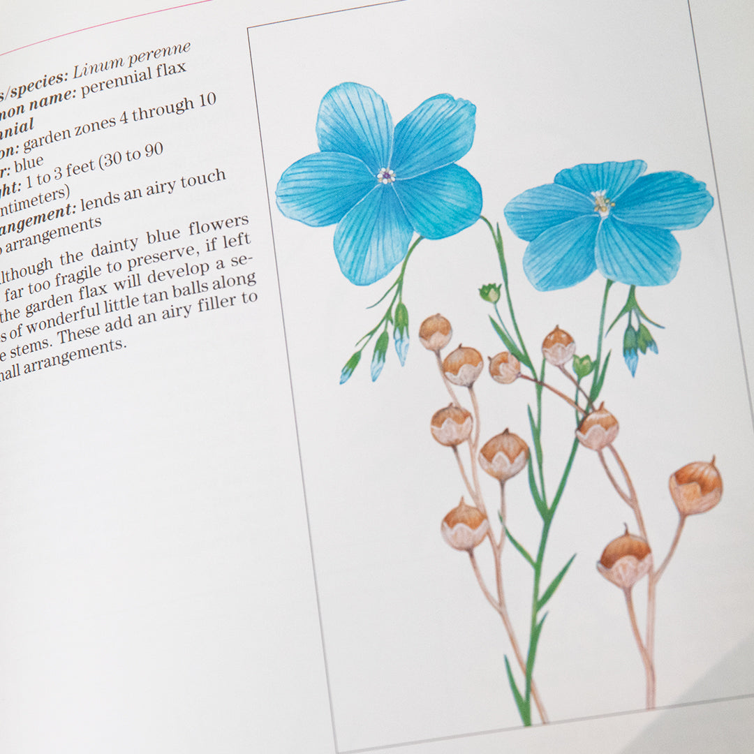 Encyclopedia of Everlastings