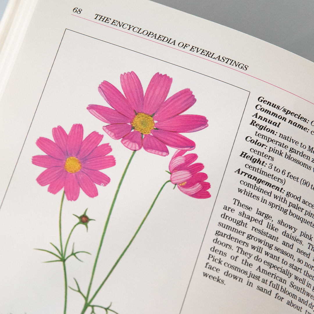 Encyclopedia of Everlastings