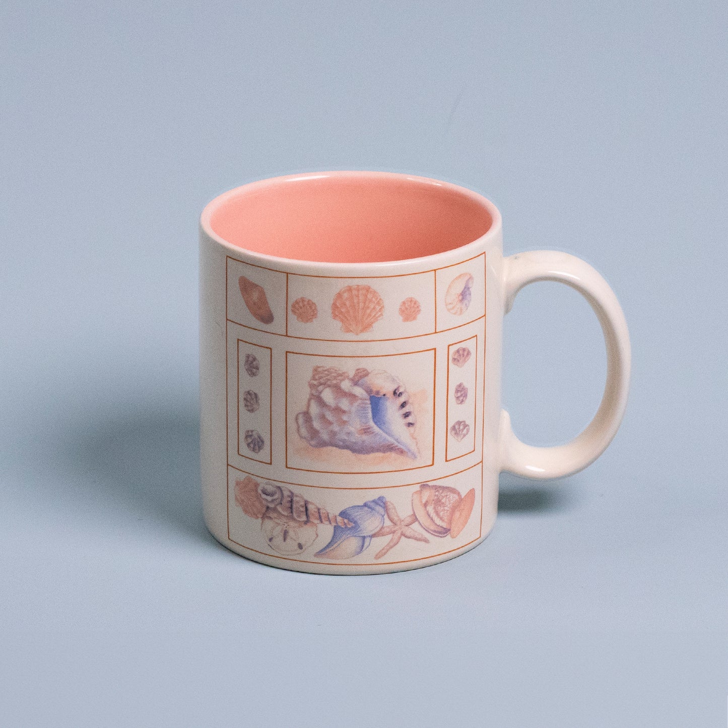 Pastel Seashell Mug