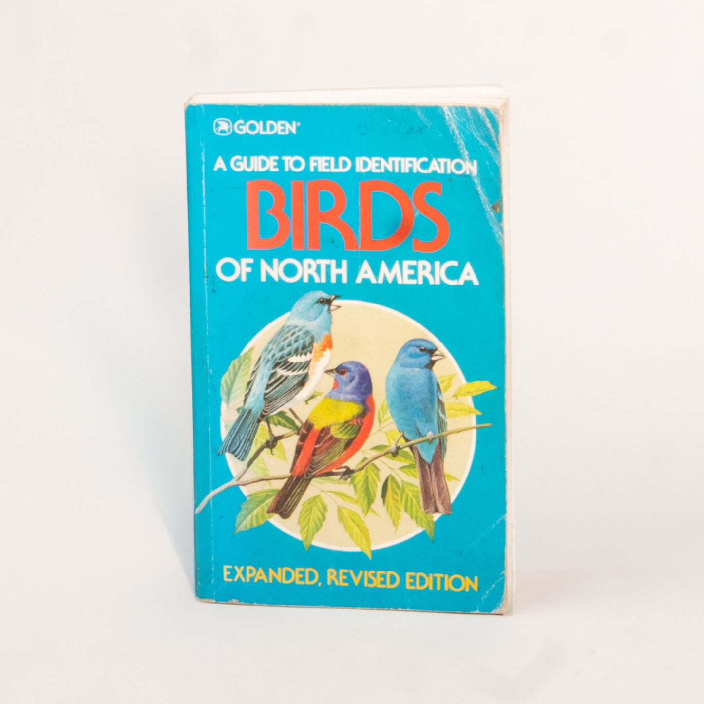 Golden Guide Birds of North America