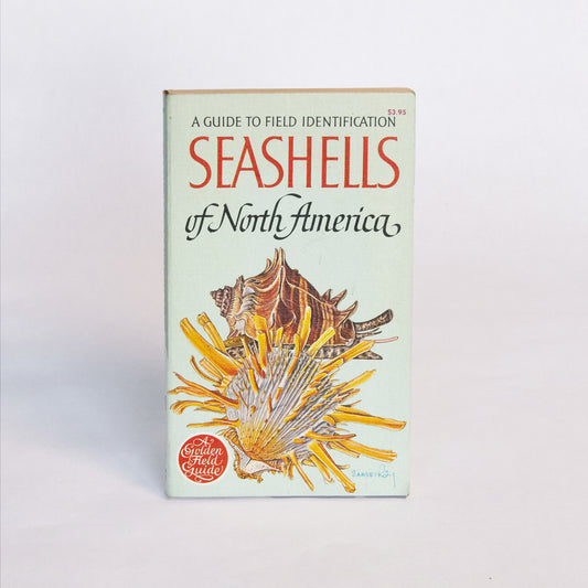 Guide to Seashells of North America